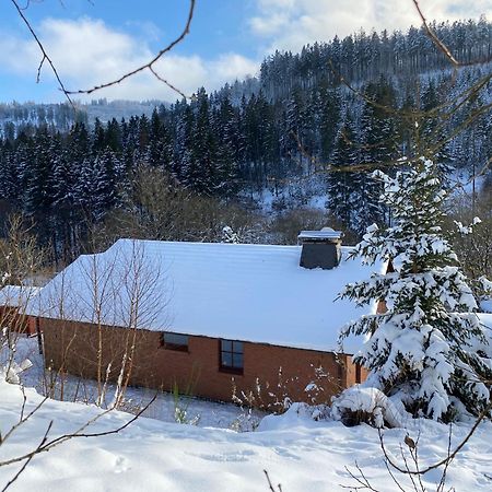 Ferienhaus Becker Willingen (Upland) Exterior foto